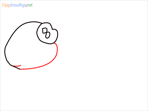 How To Draw A Cute Guinea Pig Step (4)