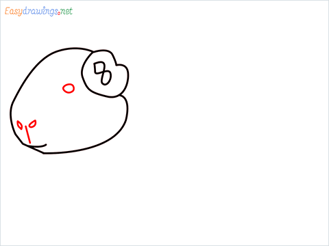 How To Draw A Cute Guinea Pig Step (5)