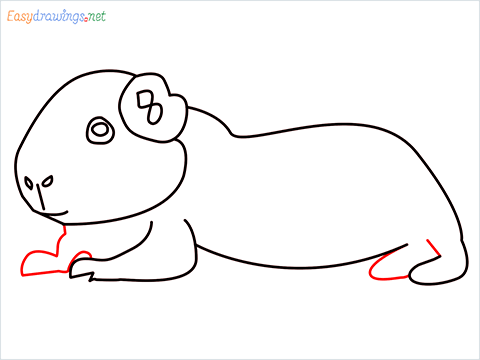How To Draw A Cute Guinea Pig Step (8)