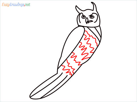 How To Draw A Easy Owl Bird Step (10)