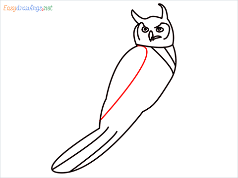How To Draw A Easy Owl Bird Step (9)