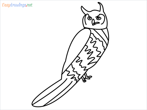 How To Draw A Easy Owl Bird Step by Step for Beginners