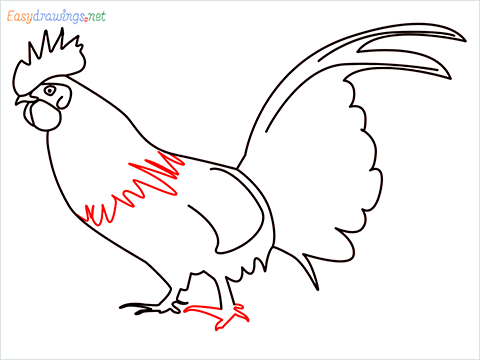 How To Draw A Rooster (cock) Step (11)