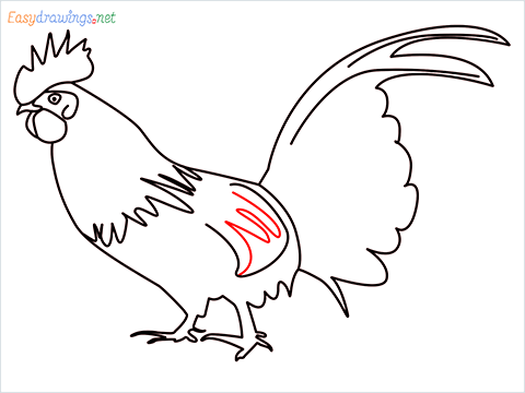 How To Draw A Rooster (cock) Step (12)