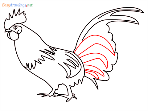 How To Draw A Rooster (cock) Step (13)