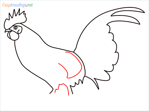 How To Draw A Rooster (cock) Step (9)