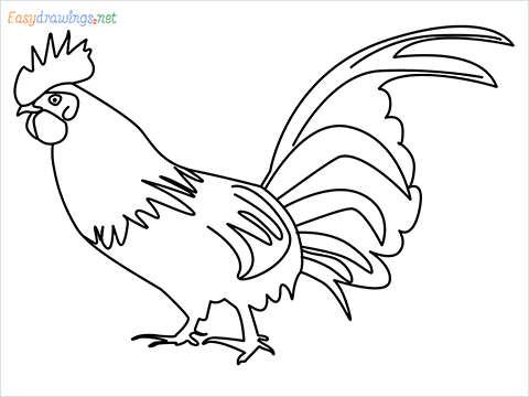How To Draw A Rooster (cock) Step by Step for Beginners