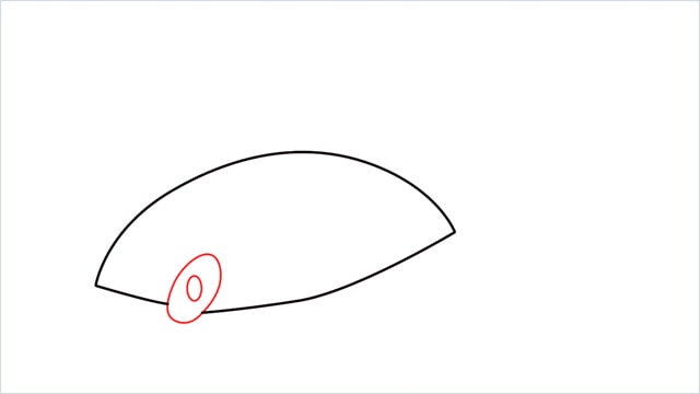 How to draw a Finneon step (3)