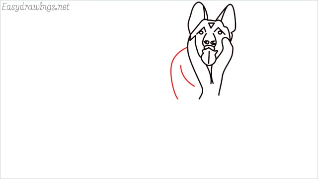 How to draw a German Shepherd step (10)