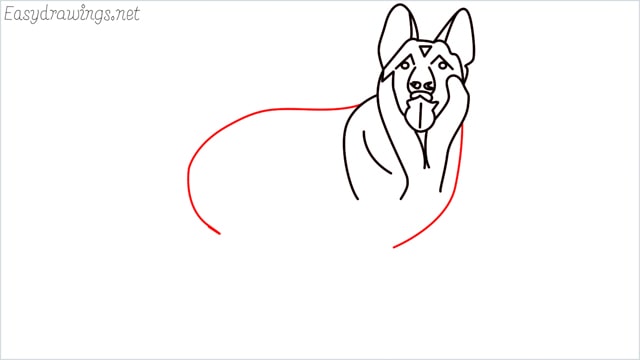 How to draw a German Shepherd step (11)