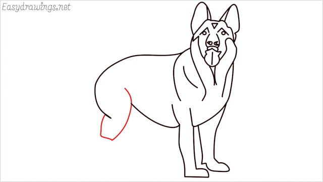 How to draw a German Shepherd step (15)