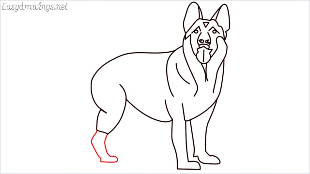 How to draw a German Shepherd step (16)