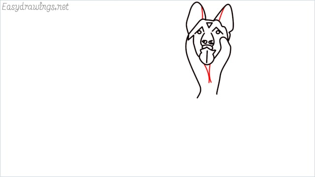 How to draw a German Shepherd step (9)