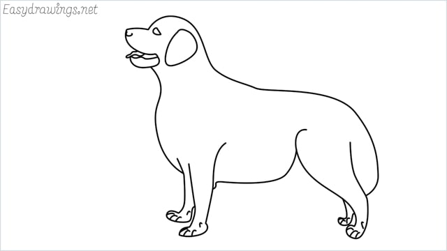 How to draw a Golden Retriever step by step