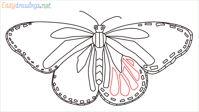 How to draw a Monarch butterfly step (11)