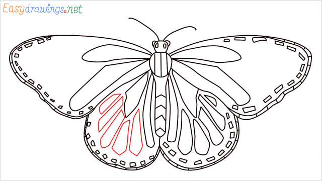 How to draw a Monarch butterfly step (12)