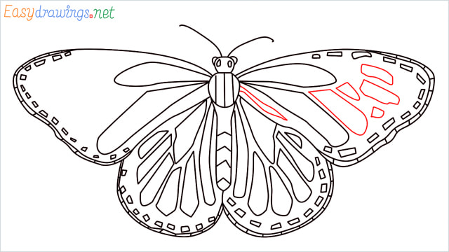How to draw a Monarch butterfly step (13)