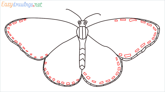 How to draw a Monarch butterfly step (8)
