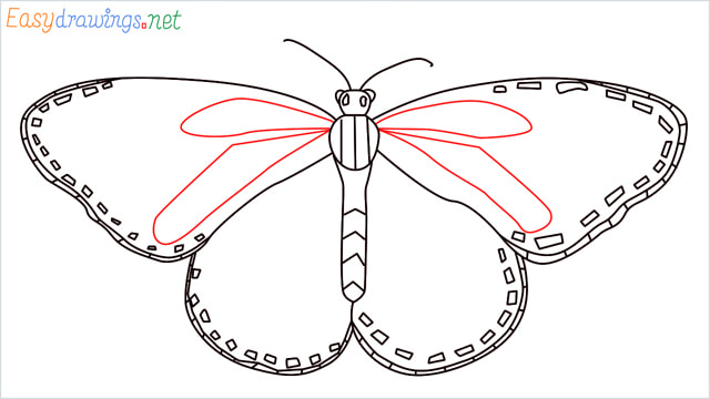 How to draw a Monarch butterfly step (9)
