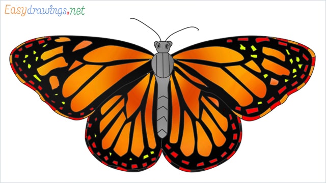 How to draw a Monarch butterfly step by step