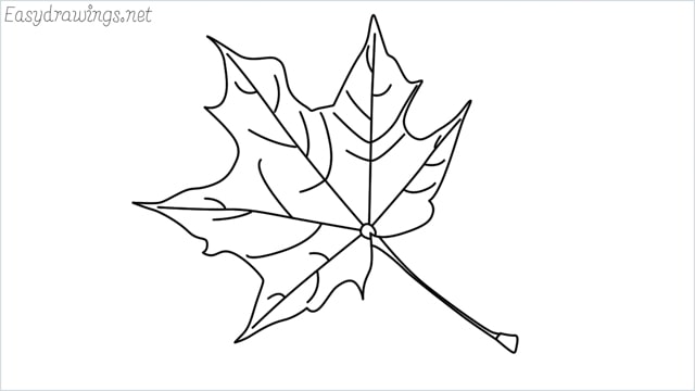 How to draw a fall leaf step by step