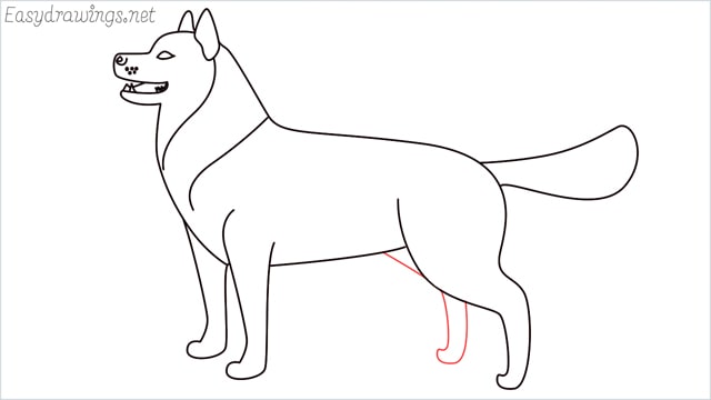 How to draw a husky step (13)