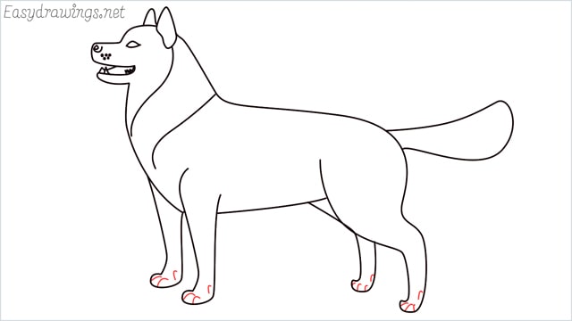 How to draw a husky step (14)
