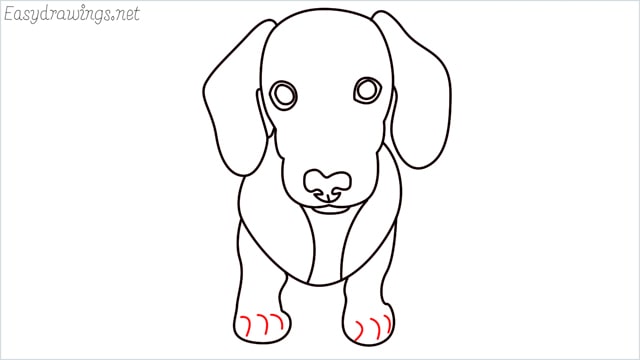How to draw a puppy step (10)