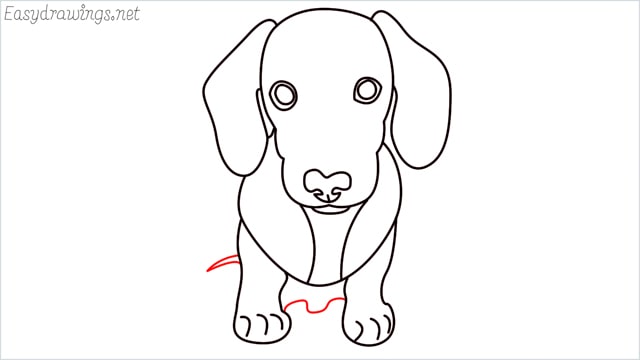 How to draw a puppy step (11)