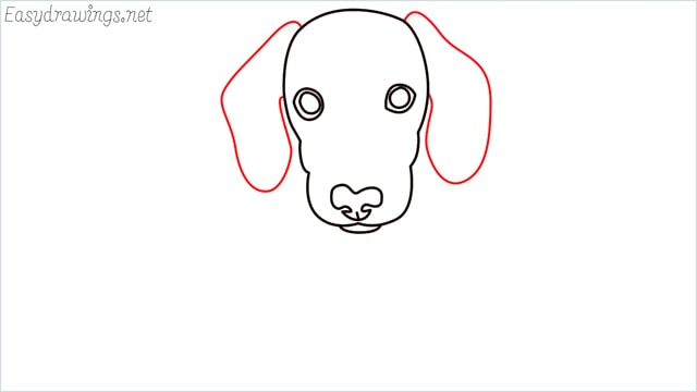 How to draw a puppy step (6)
