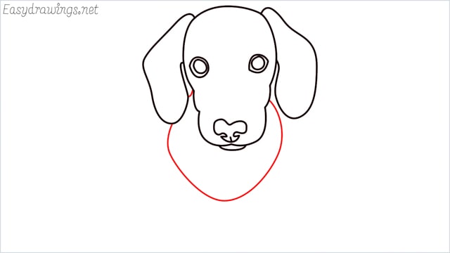 How to draw a puppy step (7)