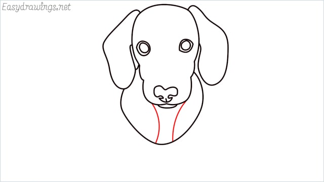 How to draw a puppy step (8)