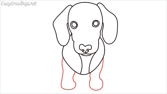 How to draw a puppy step (9)
