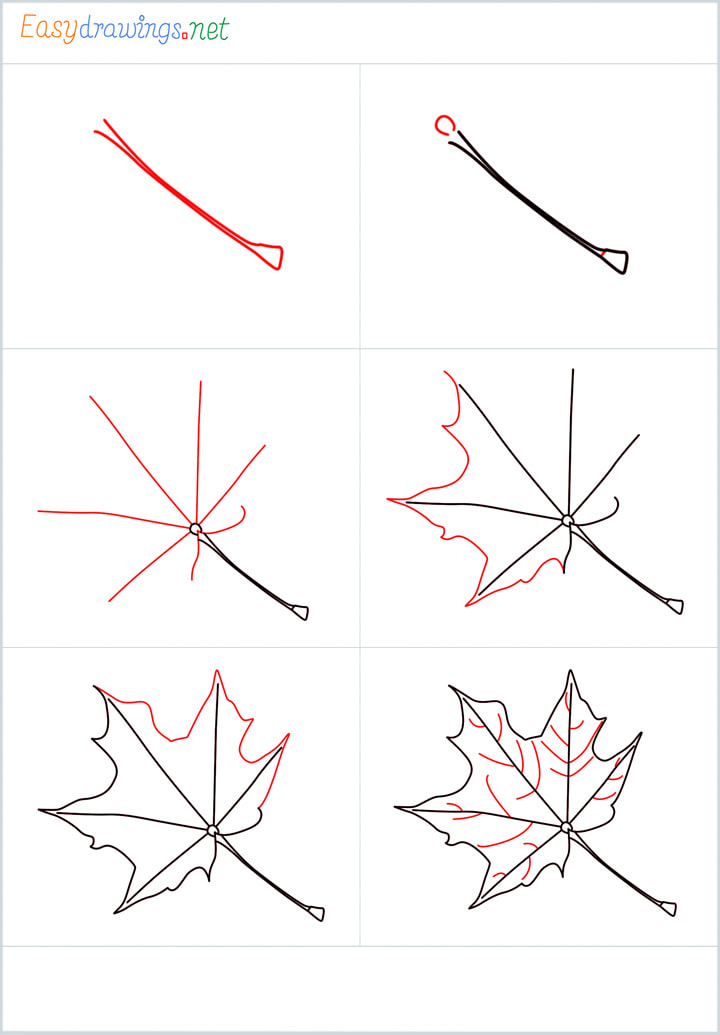 Overview for Fall leaf drawing all steps in one place