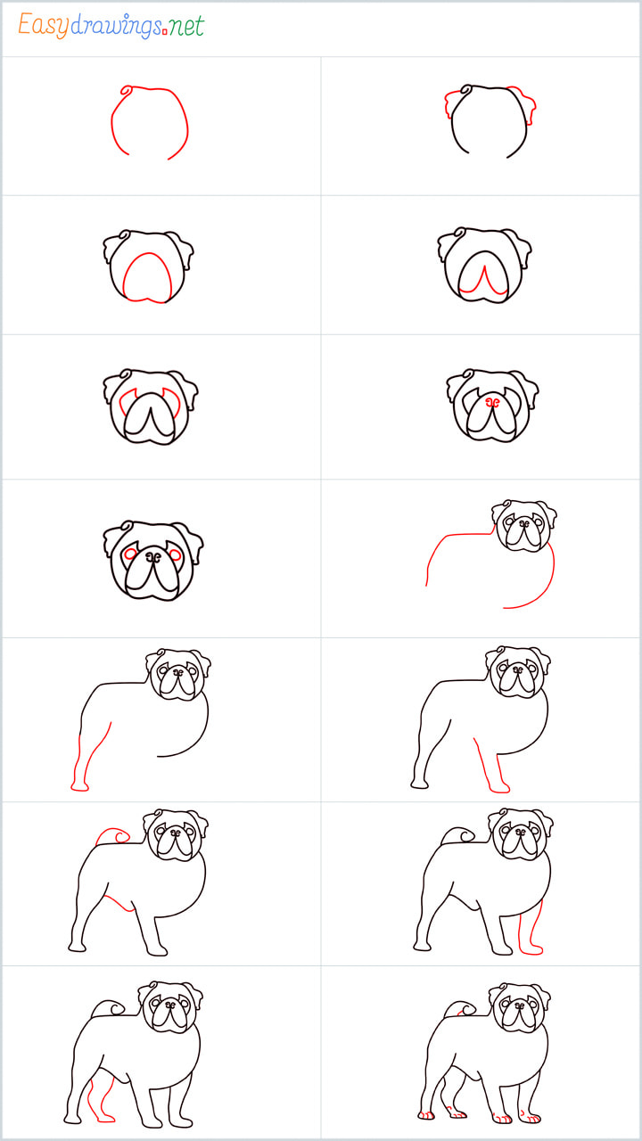 all outline for Pug drawing example