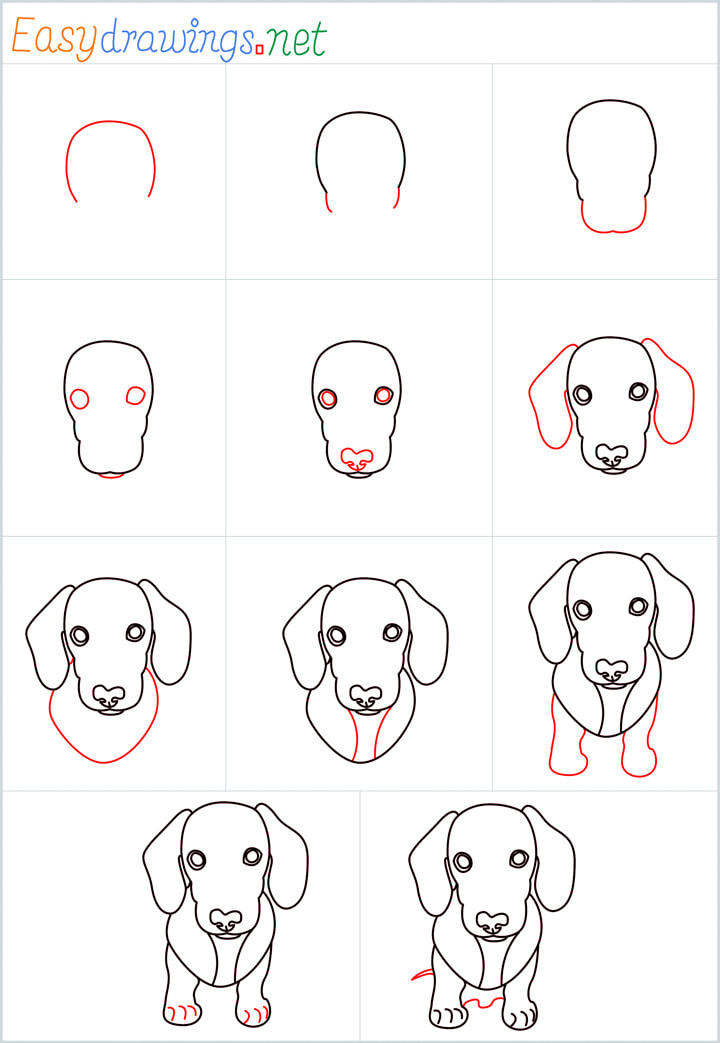 all outline for Puppy drawing example