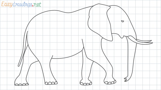 grid line Elephant drawing