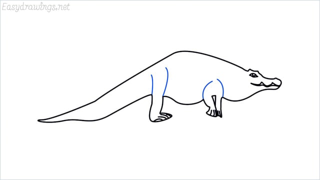 how to draw a crocodile step (10)