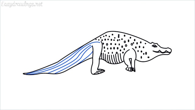 how to draw a crocodile step (13)