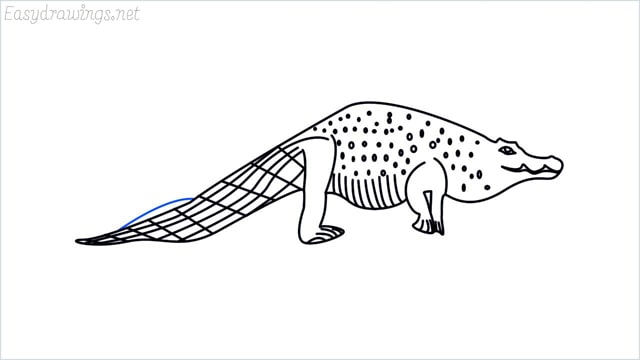 how to draw a crocodile step (15)