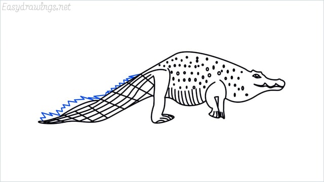 how to draw a crocodile step (16)