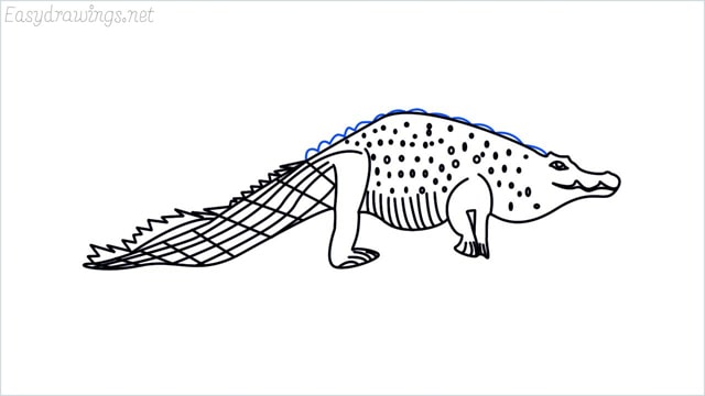 how to draw a crocodile step (17)
