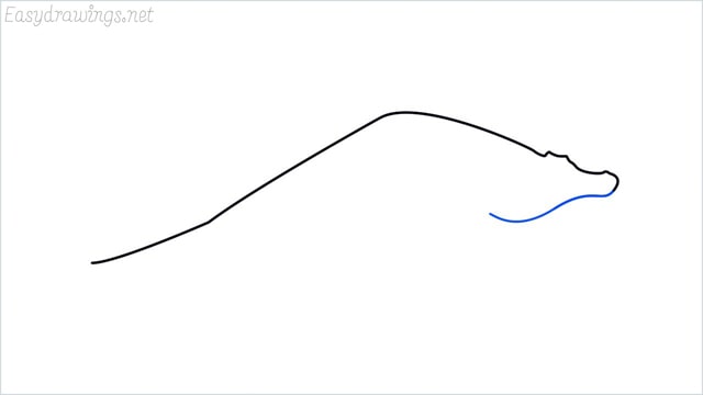 how to draw a crocodile step (3)