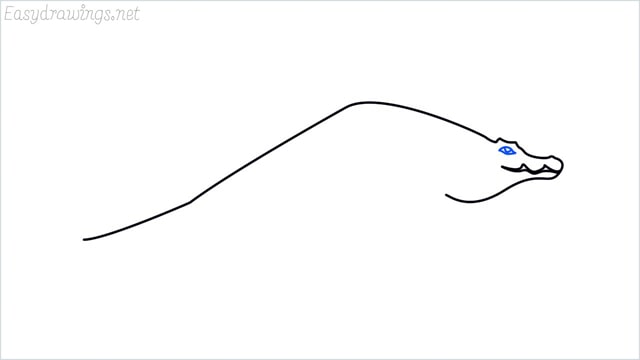how to draw a crocodile step (5)