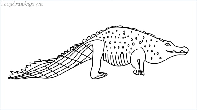 how to draw a crocodile