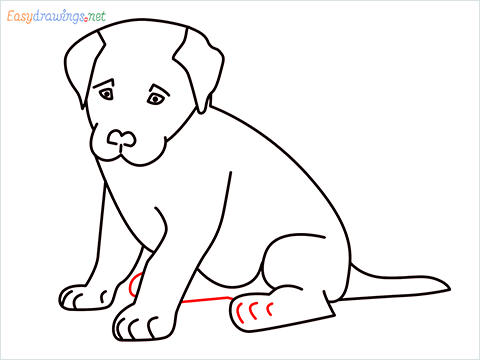 how to draw a cute dog sitting step (12)