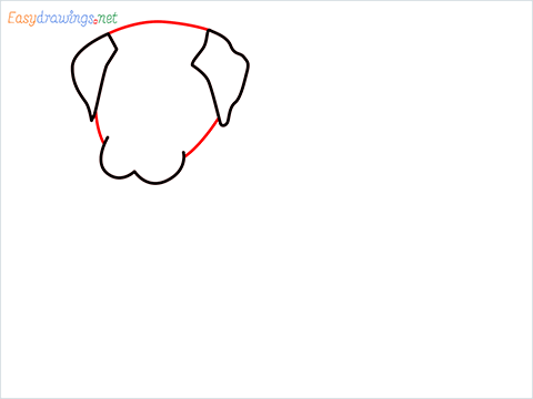 how to draw a cute dog sitting step (3)