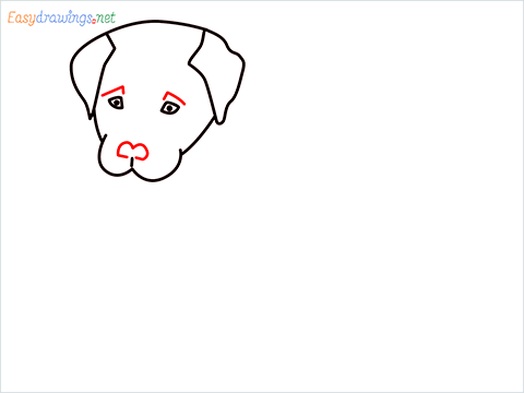 how to draw a cute dog sitting step (5)