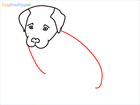 how to draw a cute dog sitting step (6)