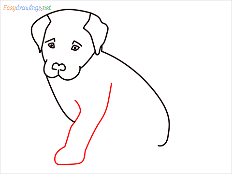 how to draw a cute dog sitting step (7)